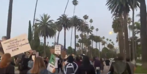Not Woke Enough: Black Lives Matter Activists March On Beverly Hills ‘Eat The Rich!’