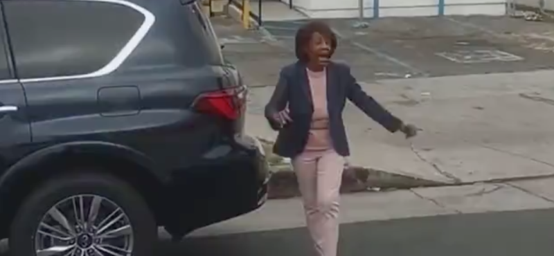 Watch: Rep. Maxine Waters Tries To Intervene During Police Traffic Stop