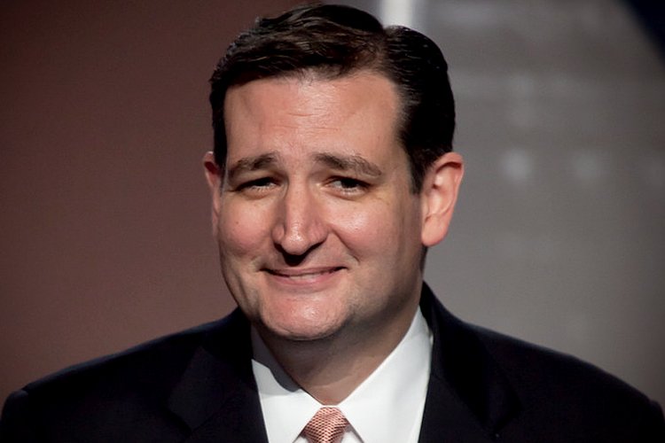 Ted Cruz Calls White House Bluff, Tells Them To Put Up Or Shut Up, ‘I Just Spoke With…