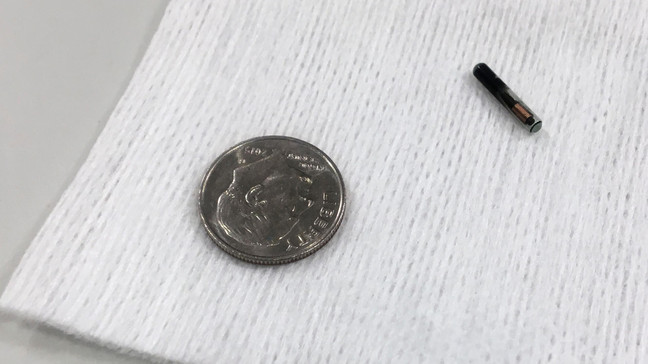 Chip Implants Become Part Of COVID Reality