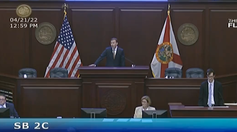 Watch: ‘NNNOOOO!’ Libs FLIP OUT While Attending Session When The Florida Legislator Puts Disney In Their Place,