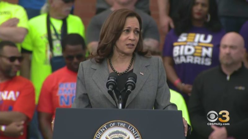 Watch: Americans Minds Go Numb After Hearing Kamala’s ‘Solution’ For Inflation