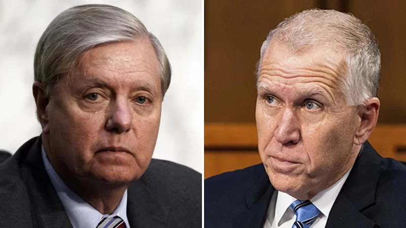 We Need Some GOP Adults to Discipline Sen. Tillis and Send Him to His Room