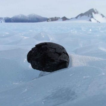 Major Scientific Discovery Made in Antarctica – Take a Look