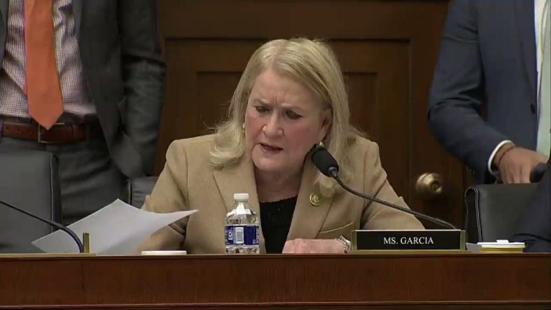 Dem Creates Chaos During Weaponization House Hearing, ‘You Can’t Have It Both Ways! – WATCH
