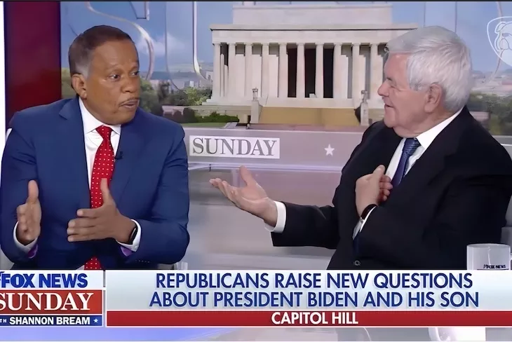 Juan Williams Left Sputtering After Head to Head with Newt Gingrich on the Biden’s – Watch