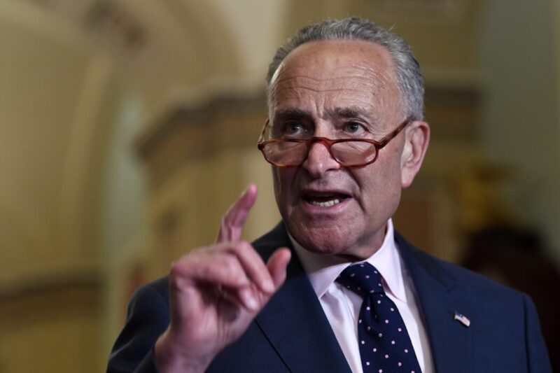 Schumer Interrupted By Protestors