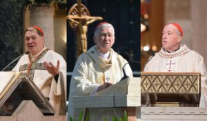 US Catholic Cardinals Speak Out