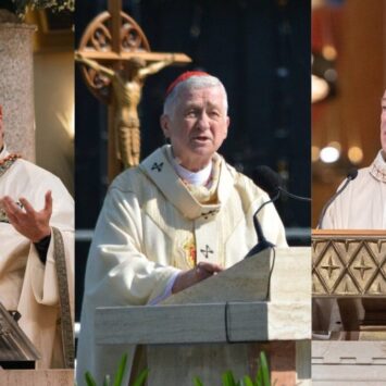 US Catholic Cardinals Speak Out
