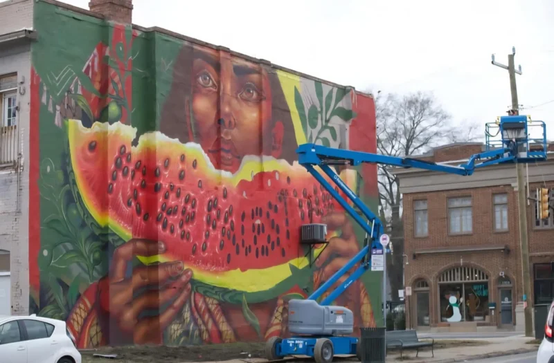 Pro Palestine Mural In Black Community Draws Backlash