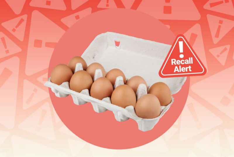 Contamination Concerns Fuel Massive Egg Recall
