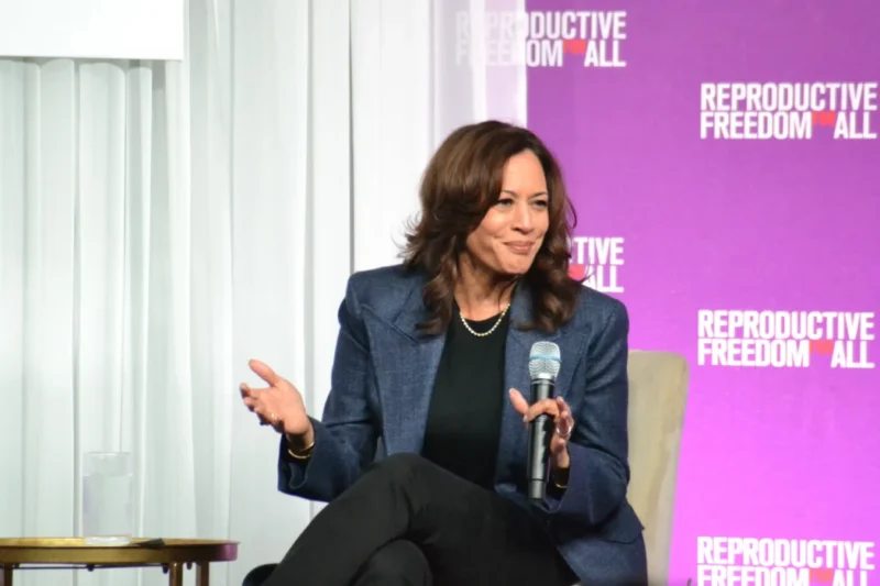 Kamala Harris Campaign Trail Performance Draws Sharp Criticism